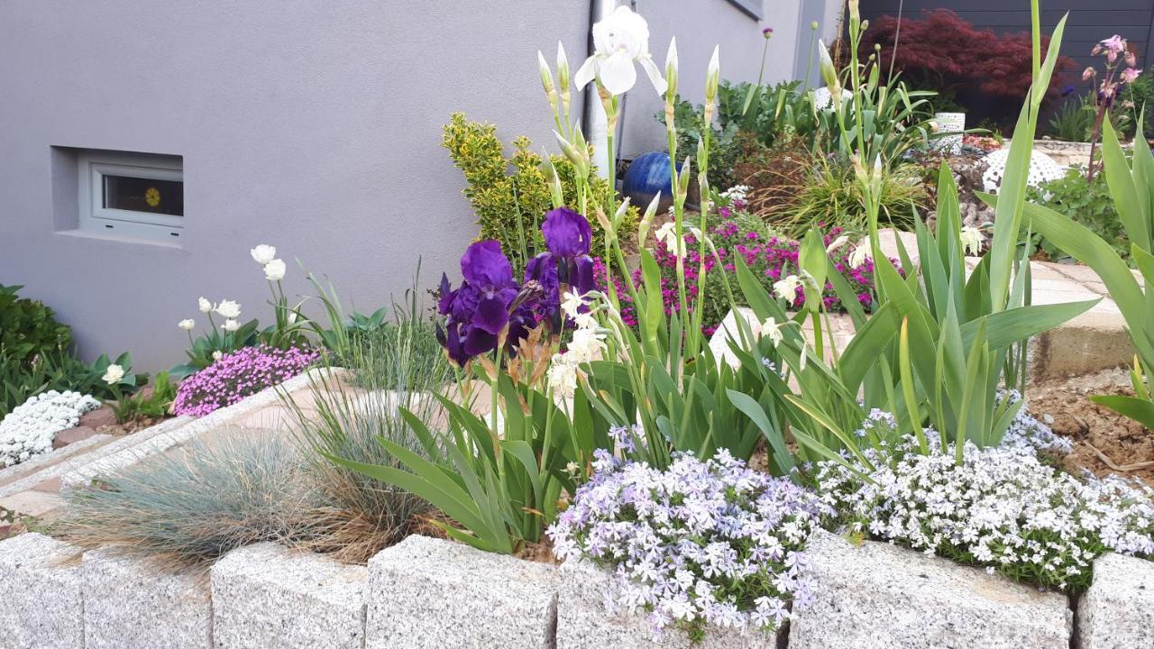 Gite Terre D'Helene 4 A 5 Pers Proche Strasbourg 42 M2, 3 Etoiles, Wifi, Paisible, Jardin, Proche Commerces,16 Atouts, Animaux Acceptes Berstett ภายนอก รูปภาพ