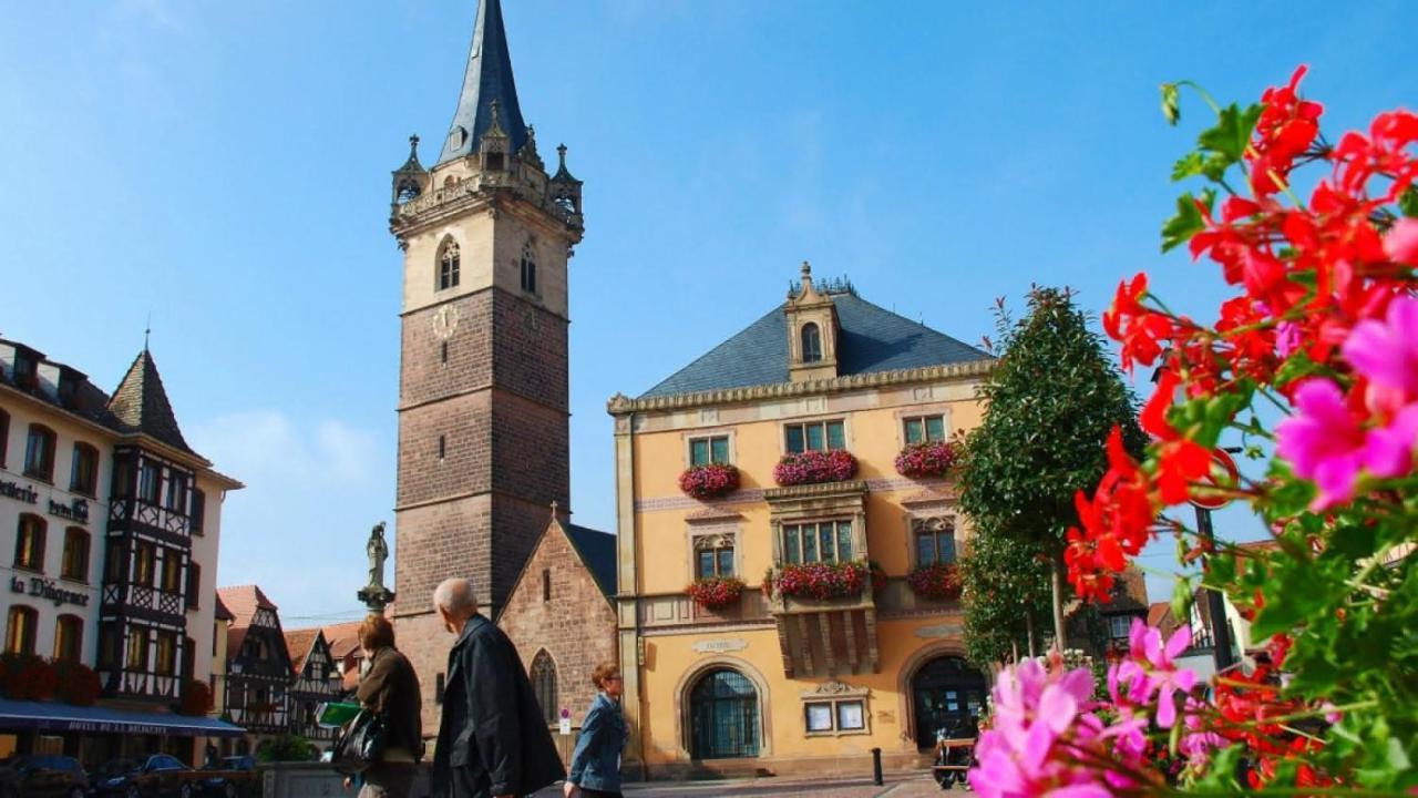 Gite Terre D'Helene 4 A 5 Pers Proche Strasbourg 42 M2, 3 Etoiles, Wifi, Paisible, Jardin, Proche Commerces,16 Atouts, Animaux Acceptes Berstett ภายนอก รูปภาพ