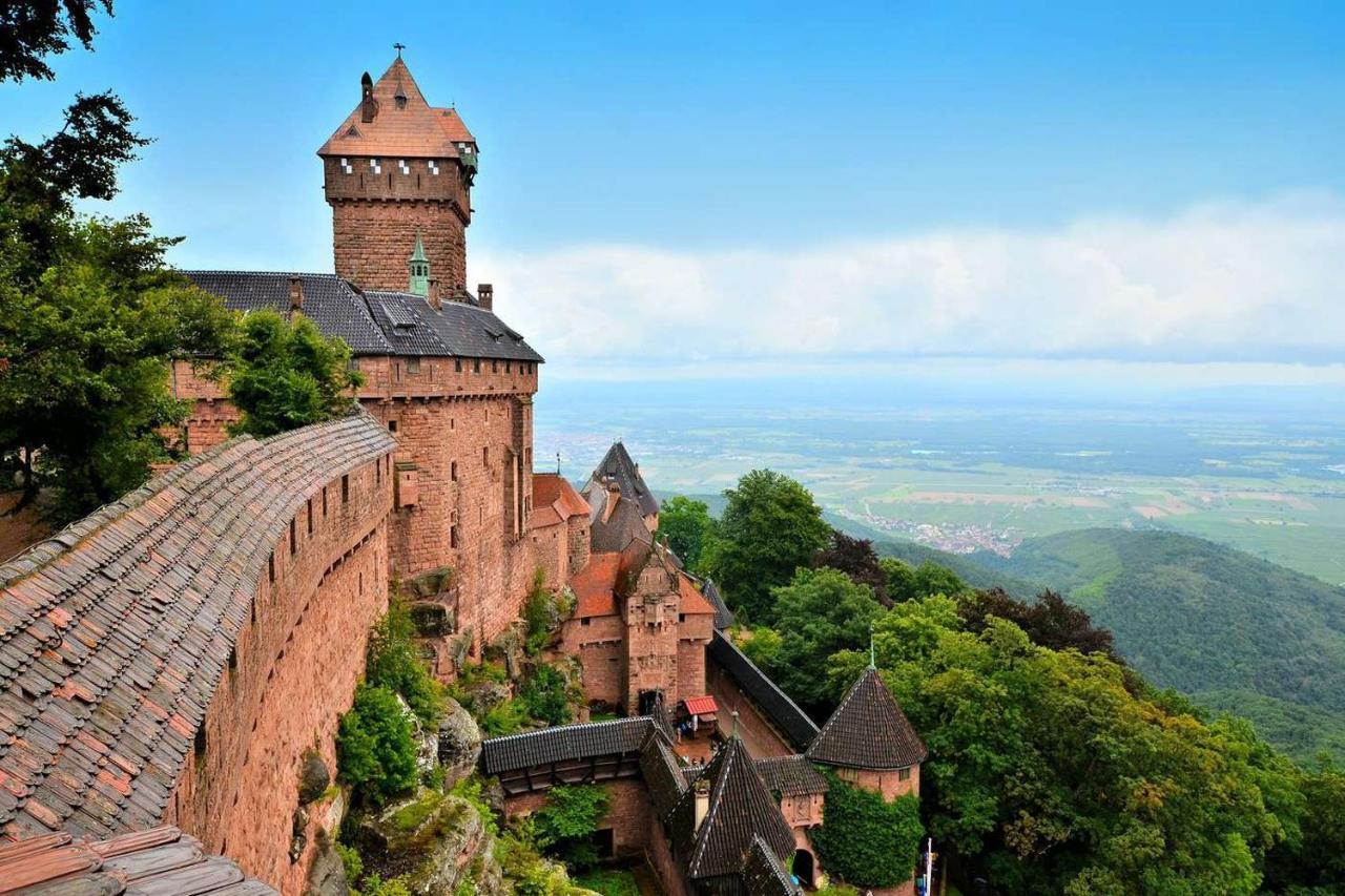 Gite Terre D'Helene 4 A 5 Pers Proche Strasbourg 42 M2, 3 Etoiles, Wifi, Paisible, Jardin, Proche Commerces,16 Atouts, Animaux Acceptes Berstett ภายนอก รูปภาพ