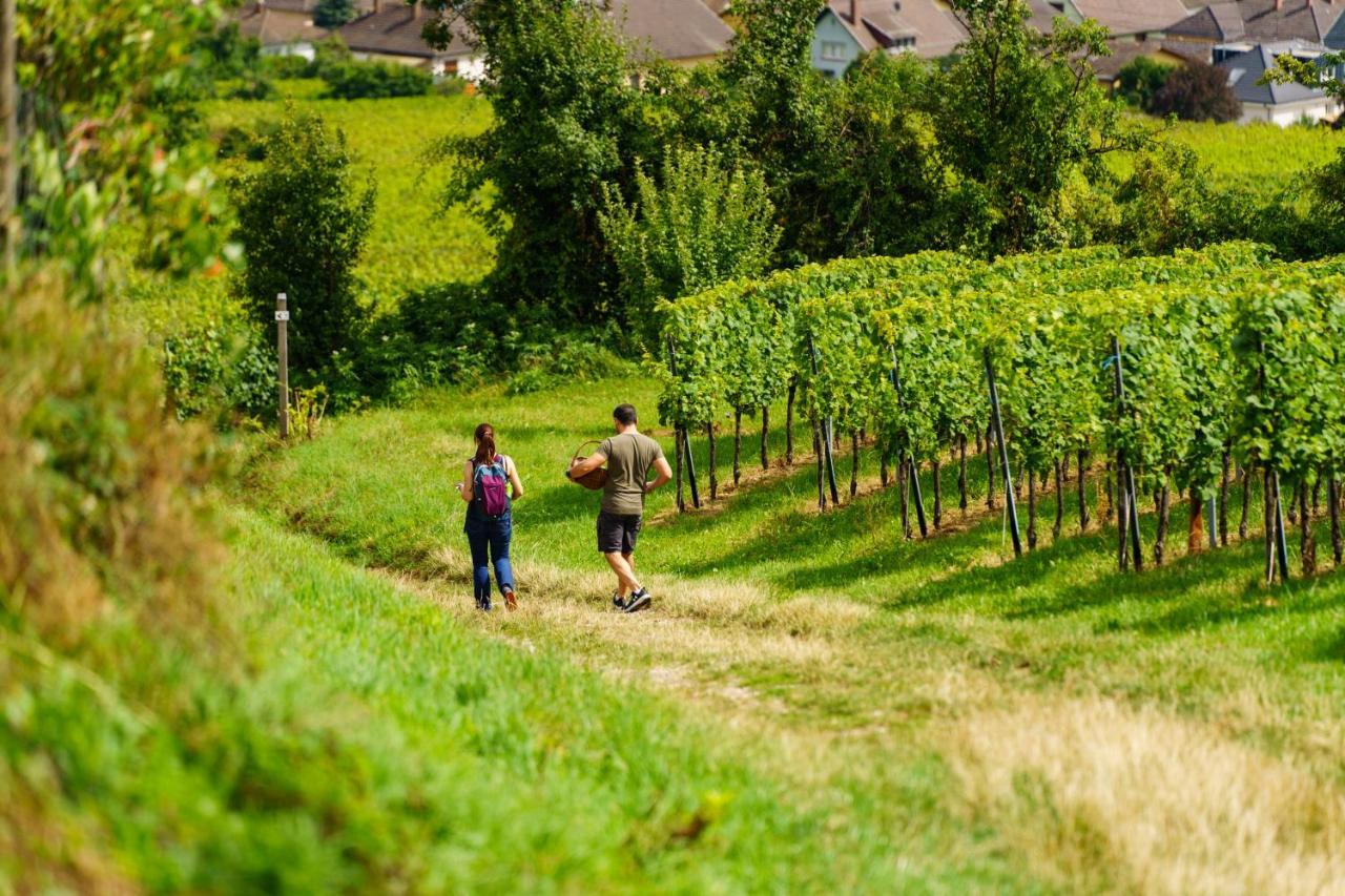 Gite Terre D'Helene 4 A 5 Pers Proche Strasbourg 42 M2, 3 Etoiles, Wifi, Paisible, Jardin, Proche Commerces,16 Atouts, Animaux Acceptes Berstett ภายนอก รูปภาพ