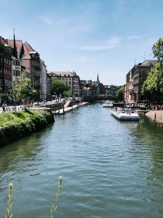 Gite Terre D'Helene 4 A 5 Pers Proche Strasbourg 42 M2, 3 Etoiles, Wifi, Paisible, Jardin, Proche Commerces,16 Atouts, Animaux Acceptes Berstett ภายนอก รูปภาพ