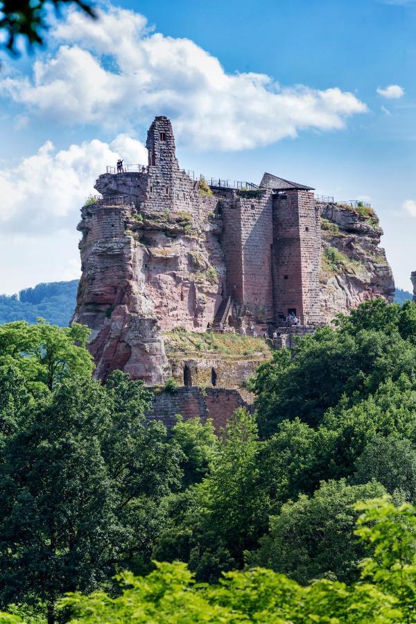 Gite Terre D'Helene 4 A 5 Pers Proche Strasbourg 42 M2, 3 Etoiles, Wifi, Paisible, Jardin, Proche Commerces,16 Atouts, Animaux Acceptes Berstett ภายนอก รูปภาพ